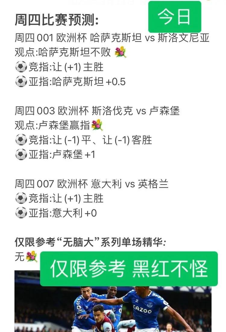 关于波黑负于斯洛文尼亚，欧预赛战况的信息