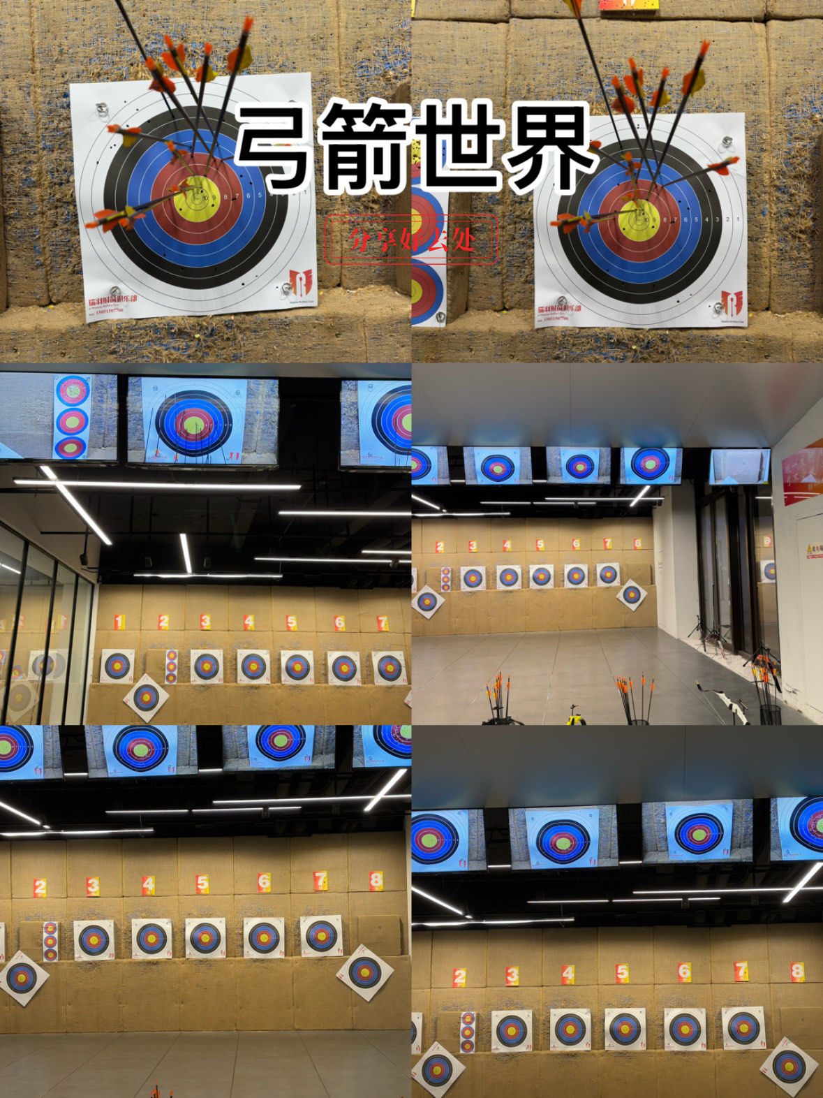 射箭项目惊现新秀,瞄准命中心目标的简单介绍 射箭项目惊现新秀,瞄准命中心目标的简单介绍