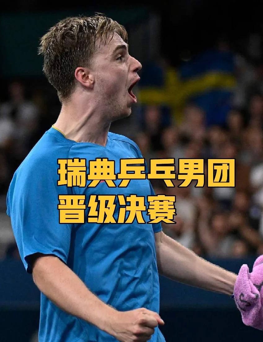 瑞典选手逆袭实现逆袭，圆梦夺冠的简单介绍