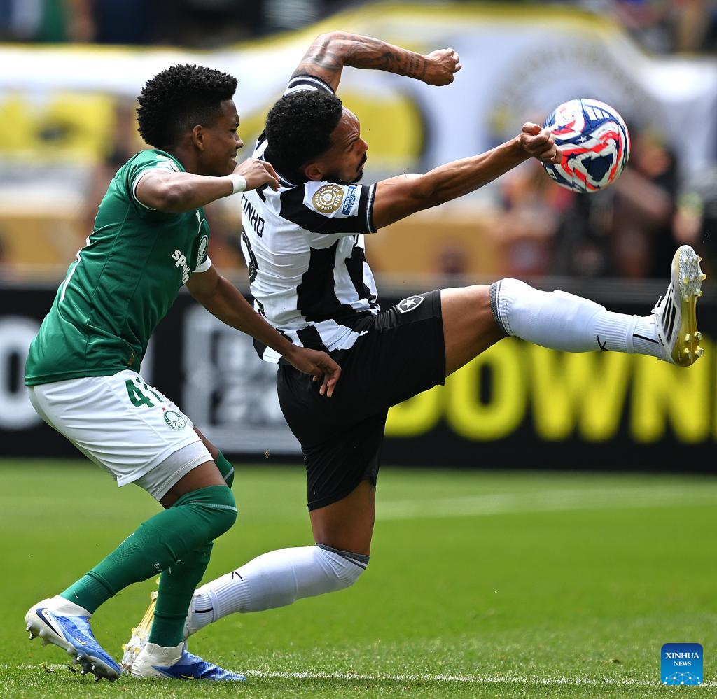 -世界各大洲足球赛事即将相继展开